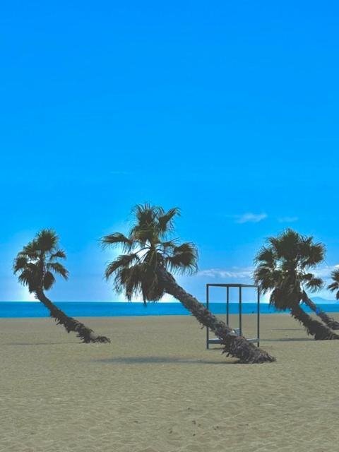 Appartement 4 Personnes Piscine 300 Plage 4Pb287 Ле-Баркарес Екстер'єр фото